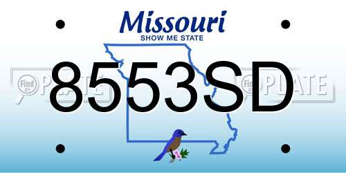 8553SD Missouri License Plate