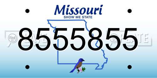 8555855 Missouri License Plate