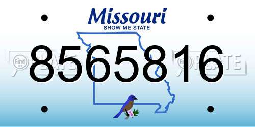 8565816 Missouri License Plate