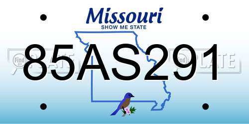 85AS291 Missouri License Plate