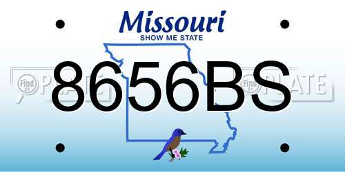 8656BS Missouri License Plate