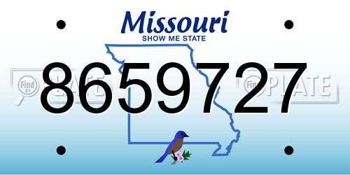8659727 Missouri License Plate