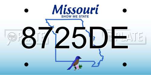 8725DE Missouri License Plate