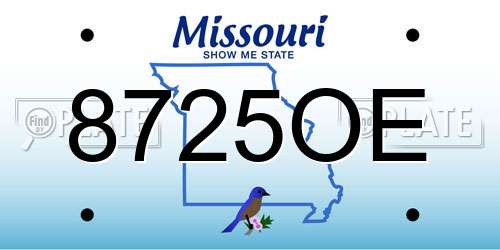 8725OE Missouri License Plate