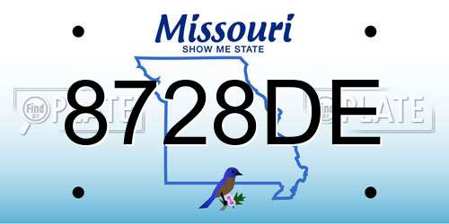8728DE Missouri License Plate