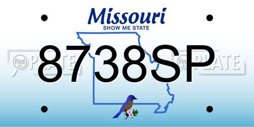 8738SP Missouri License Plate