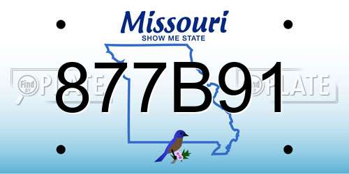 877B91 Missouri License Plate