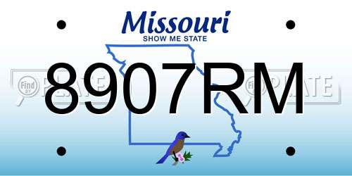 8907RM Missouri License Plate