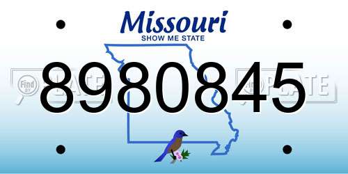 8980845 Missouri License Plate