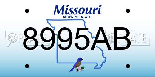 8995AB Missouri License Plate