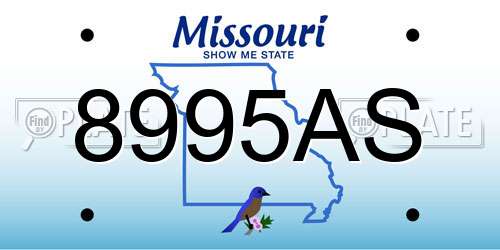 8995AS Missouri License Plate
