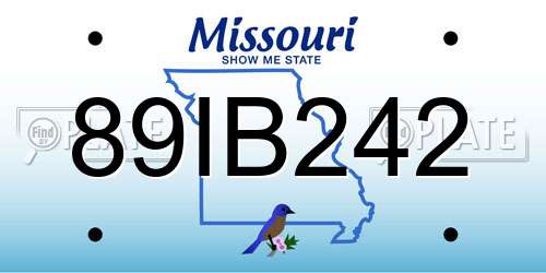 89IB242 Missouri License Plate
