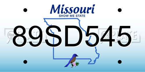 89SD545 Missouri License Plate