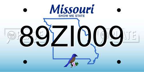 89ZI009 Missouri License Plate