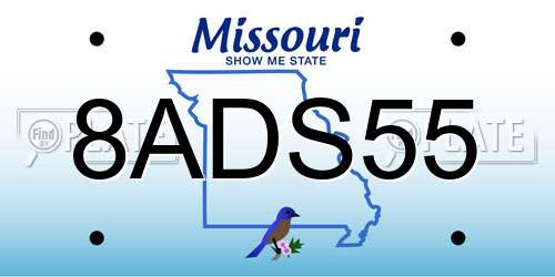 8ADS55 Missouri License Plate