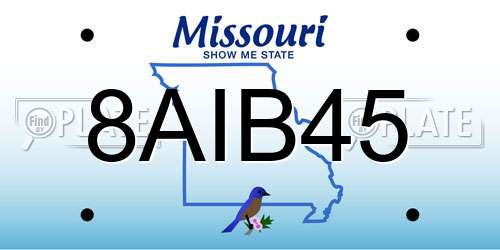 8AIB45 Missouri License Plate