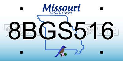 8BGS516 Missouri License Plate
