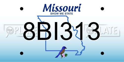 8BI313 Missouri License Plate