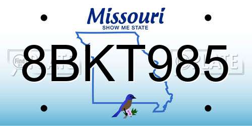 8BKT985 Missouri License Plate