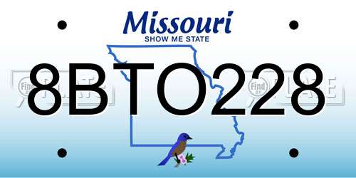8BTO228 Missouri License Plate