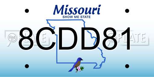 8CDD81 Missouri License Plate