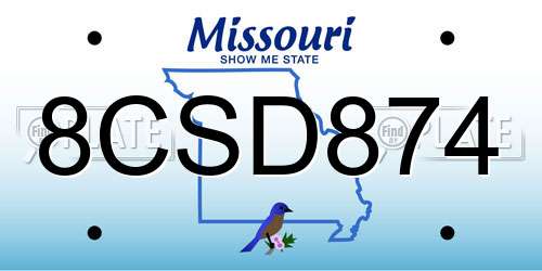 8CSD874 Missouri License Plate