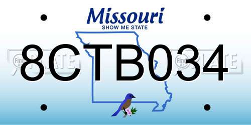 8CTB034 Missouri License Plate