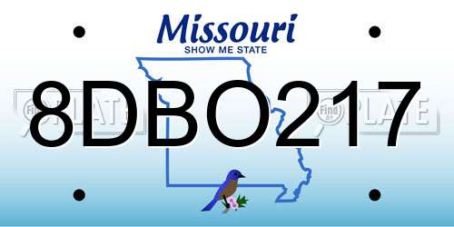 8DBO217 Missouri License Plate