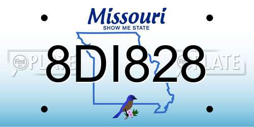 8DI828 Missouri License Plate