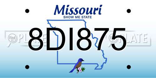 8DI875 Missouri License Plate