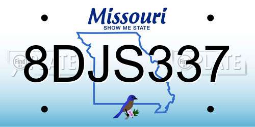 8DJS337 Missouri License Plate