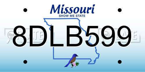 8DLB599 Missouri License Plate