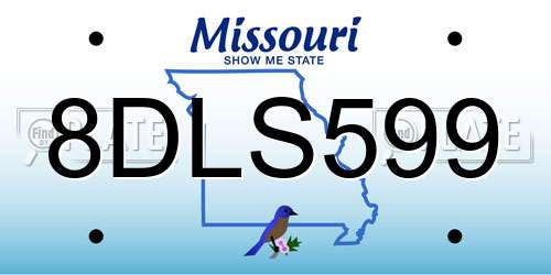 8DLS599 Missouri License Plate