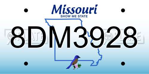 8DM3928 Missouri License Plate