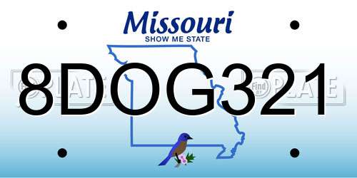 8DOG321 Missouri License Plate