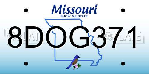 8DOG371 Missouri License Plate