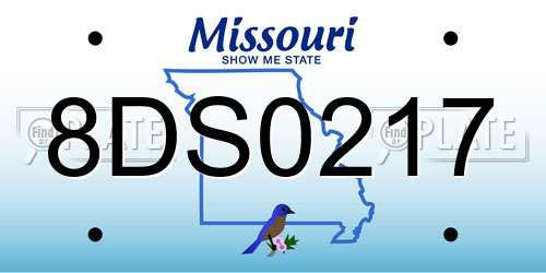 8DS0217 Missouri License Plate