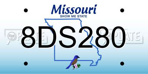 8DS280 Missouri License Plate