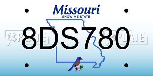 8DS780 Missouri License Plate