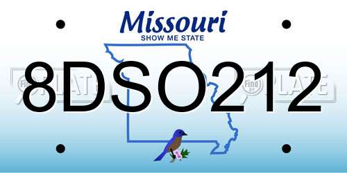 8DSO212 Missouri License Plate