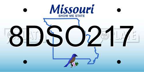 8DSO217 Missouri License Plate