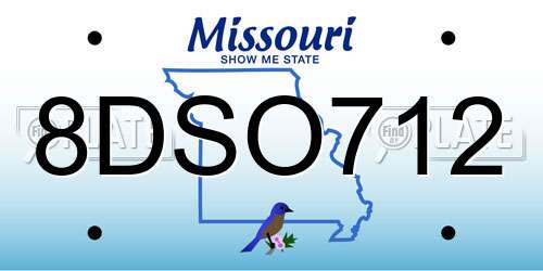 8DSO712 Missouri License Plate