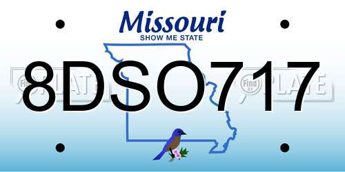 8DSO717 Missouri License Plate