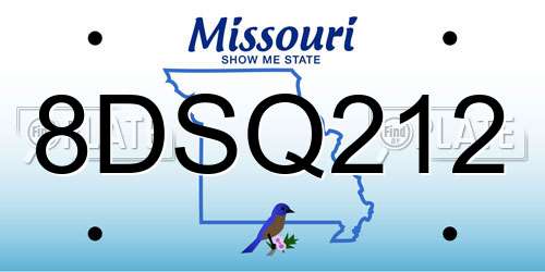 8DSQ212 Missouri License Plate