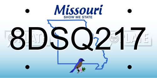 8DSQ217 Missouri License Plate
