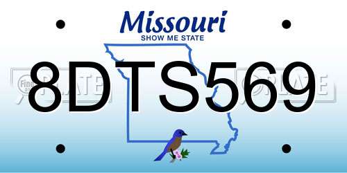 8DTS569 Missouri License Plate