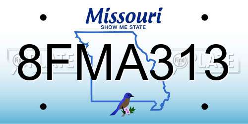 8FMA313 Missouri License Plate