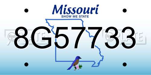 8G57733 Missouri License Plate