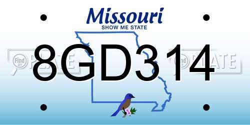 8GD314 Missouri License Plate