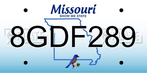 8GDF289 Missouri License Plate